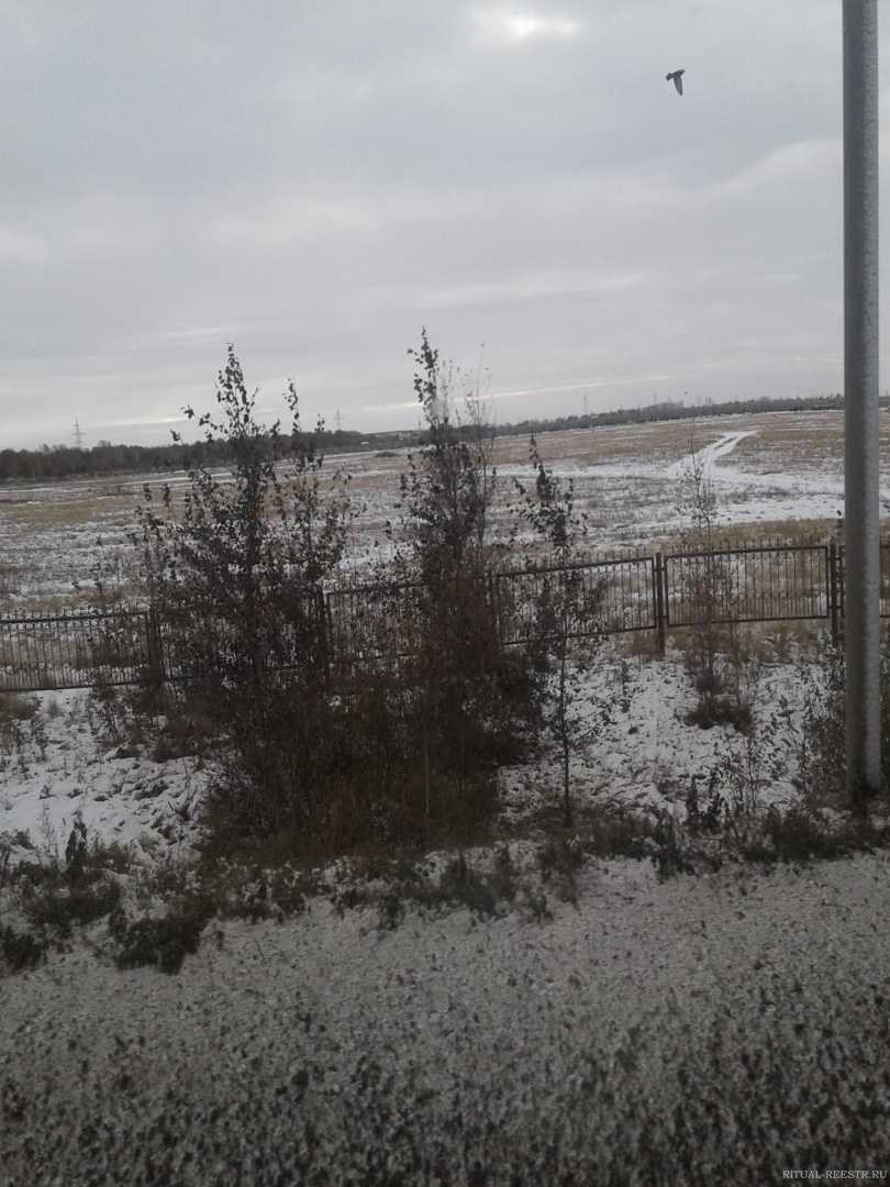 Ново-Южное кладбище Омск городской округ в городе Омск Ново-Южное кладбище,  2/1